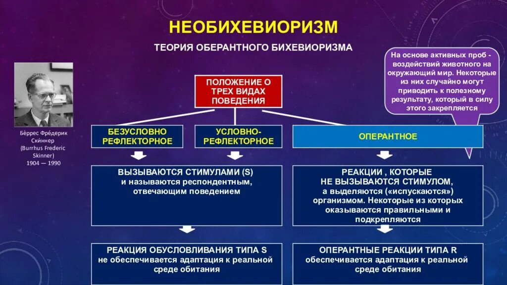 Научение в бихевиоризме. Необихевиоризм теория. Типы научения в бихевиоризме. Основные теоретические положения необихевиоризма. Теория бихевиоризма.