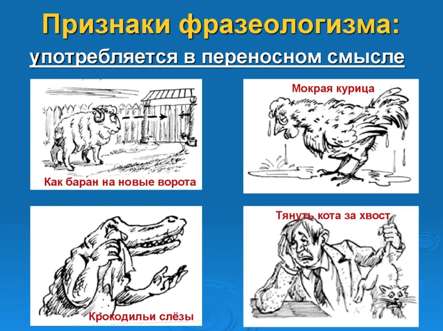 Воспитали фразеологизм. Фразеологизм. Фразеологизмы примеры. Интересные фразеологизмы. Фразеология примеры.