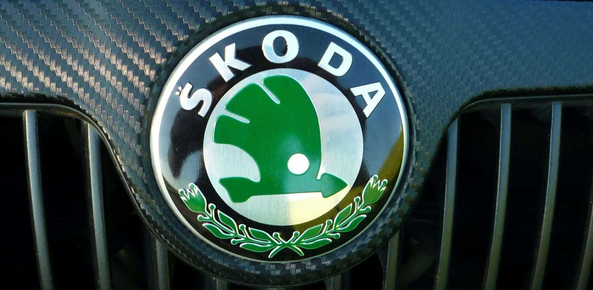 Что изображено на логотипе шкода. Шкода октавия знак. skoda logo 2025. škoda octavia значок. логотип шкода октавия а4.