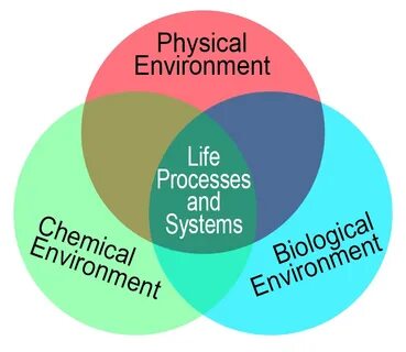 Environmental factors