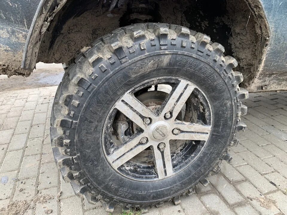 Симекс экстрим трекер 235/75r15. 235/75 R16. Симаки резина. Я-569 медведь 235/75 r15 цена. Купить шины 235 75 15