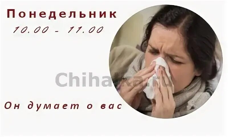 Чихнуть в понедельник по времени