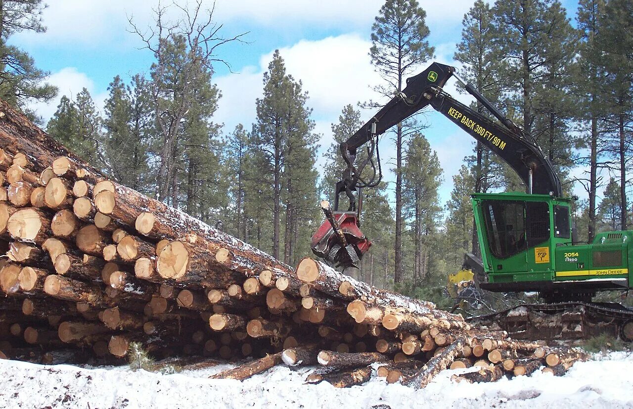 Районы деревообработки. John Deere 2054. Лесообрабатывающая промышленность Канады. Лесное хозяйство Швеции. Лесная промышленность Канады.