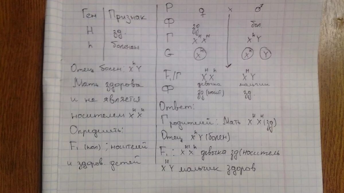 Девушка имеющая нормальное зрение отец которой