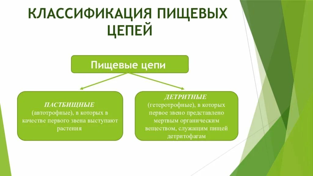 Первое звено пастбищной цепи. Пищевая цепь. Автотрофные пастбищные пищевые цепи. Классификация цепей. Пищевая цепь подразделяются.