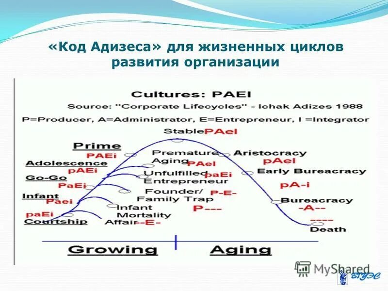 Ицхак Адизес paei. Модель Адизеса paei. Стили менеджмента по Адизесу paei. Код paei по Адизесу. Paei тест расшифровка