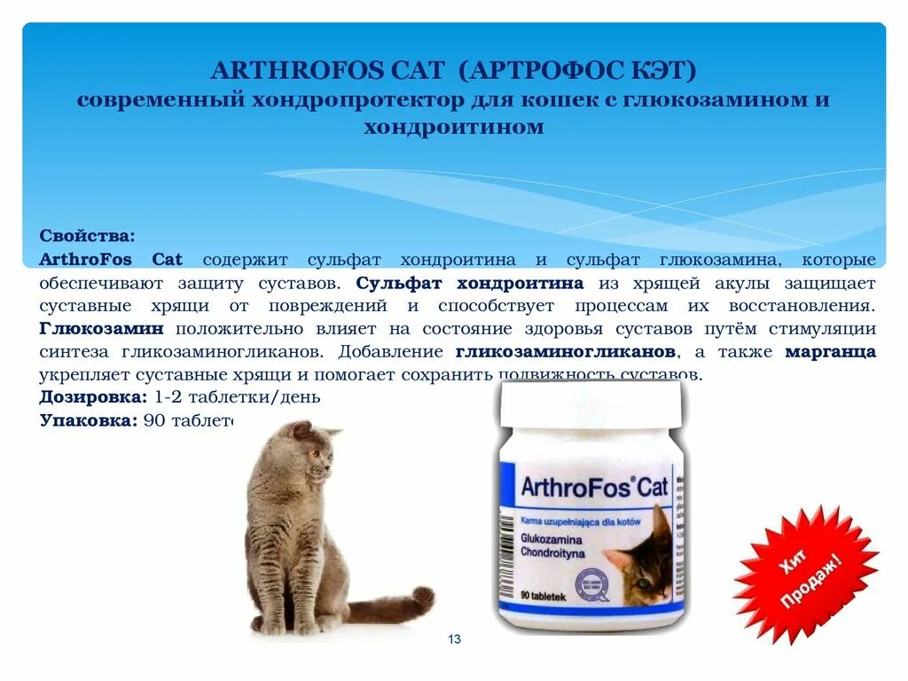 Ферменты для пищеварения кошкам. Хондроитин для кошек. Хондроитин с глюкозамином для кошек. Супер флекс хондропротектор для кошек. Витамины для собак для суставов хондропротекторы.