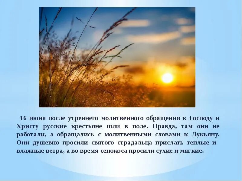 Как составить план на неделю. Сколько ушей у 3 мышей. Стихи о лете для детей. После июнь. Май июнь июль август.
