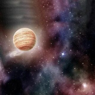 Venus chub ai