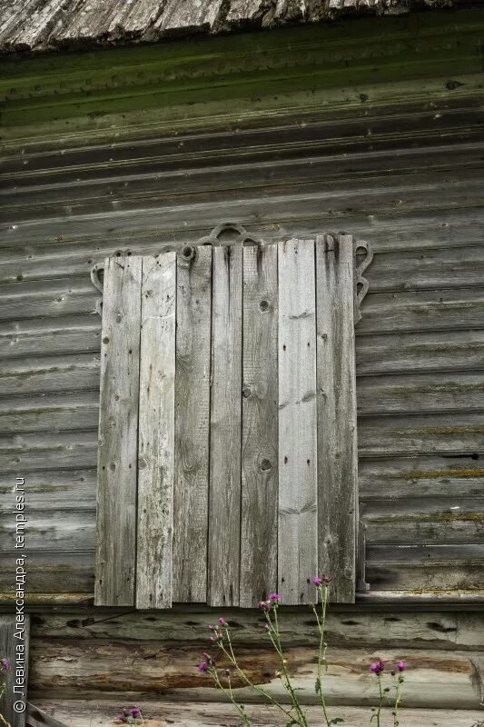 деревянная доска. заколоченные окна. старый деревянный сарай. старая деревянная доска. деревянный фон.