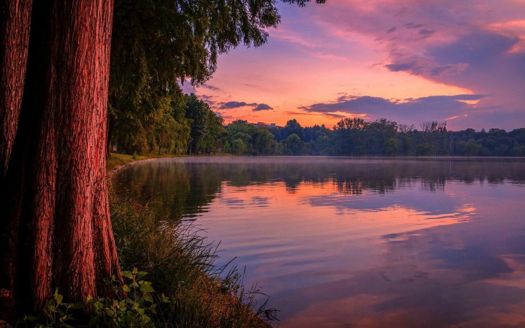Красивые картинки на рабочий. Природа вечер. Пейзаж вечер. Озеро в лесу. Закат на озере.