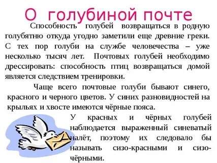 Откуда почтовые голуби знали куда лететь