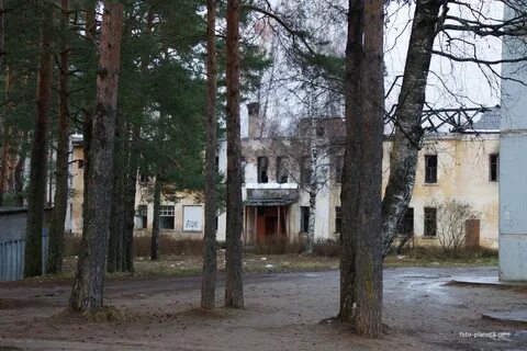 Бологое 4