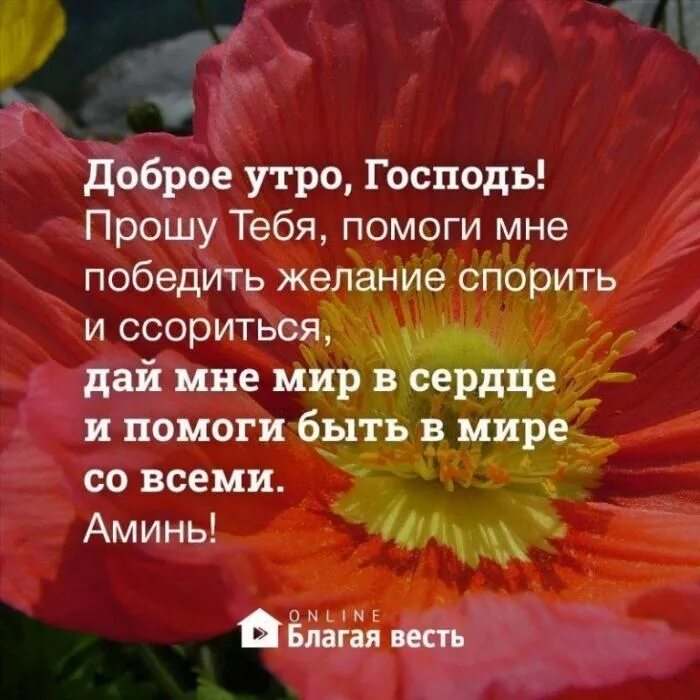 Доброе утро храни тебя господь. Доброе утро с Господом. Доброе утро благословение Господа. С добрым утром благослови Господь. Доброе утро Господи.