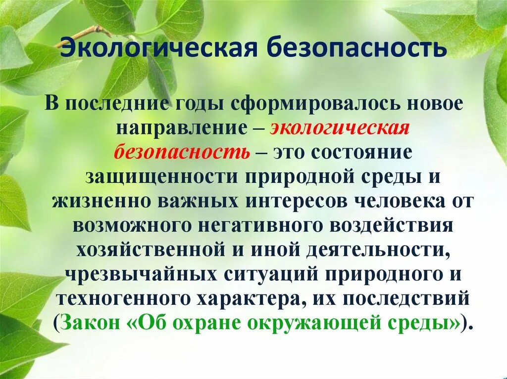 Экология природоохранной деятельности. Экололгическа Ябезопасность. Экология презентация. Экологическая безопасность презентация. Экологическая безопасность это определение.