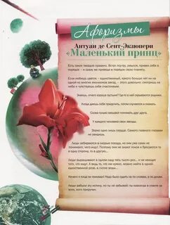 Афоризмы из сказки маленький принц 6 класс