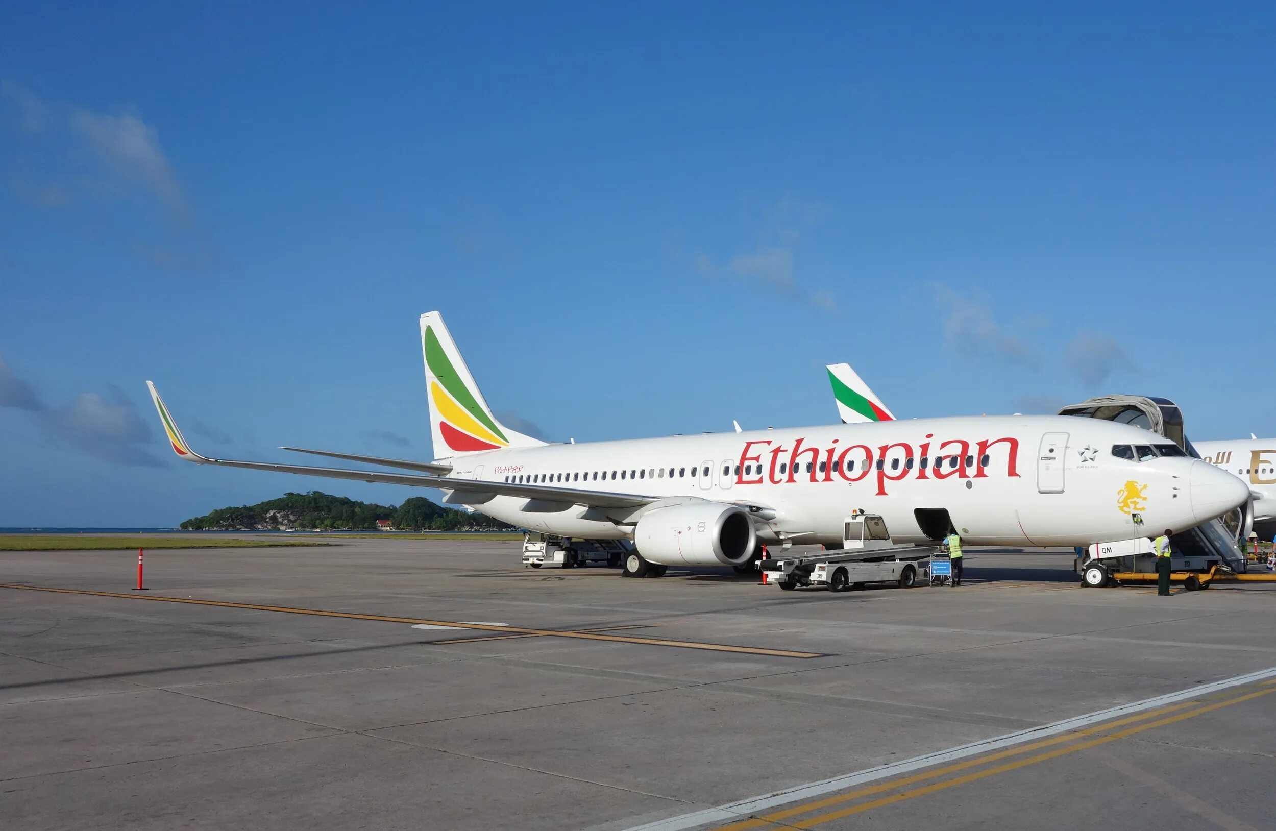 Авиакомпания Ethiopian Airlines. Ethiopian самолет Ethiopian Airlines. Боинг 737 эфиопские авиалинии. Boeing 737 8 Ethiopian.