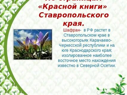 Животные занесенные в красную книгу ставропольского