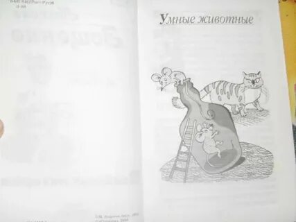 Умные животные читать