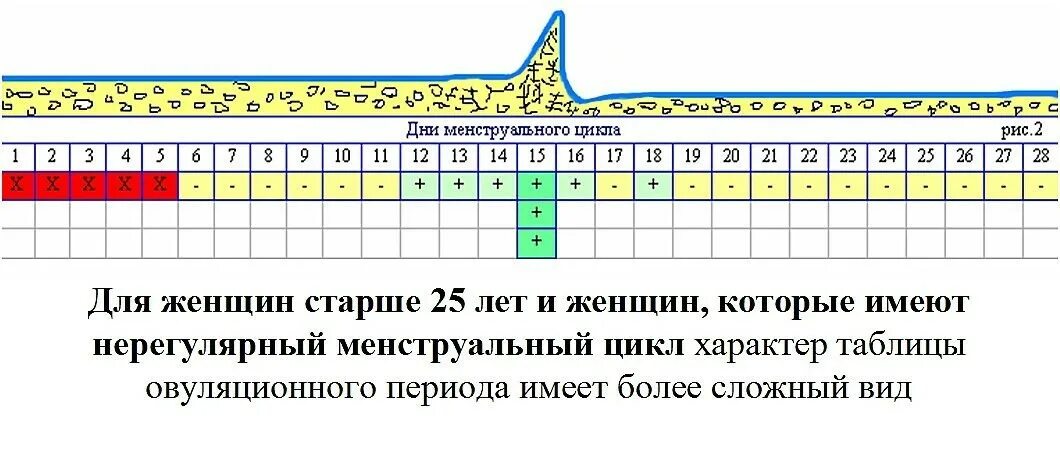 Рассчитать месячные. Как определить 17 день цикла. Когда можно забеременеть. Менструальный цикл. Календарь овуляции.