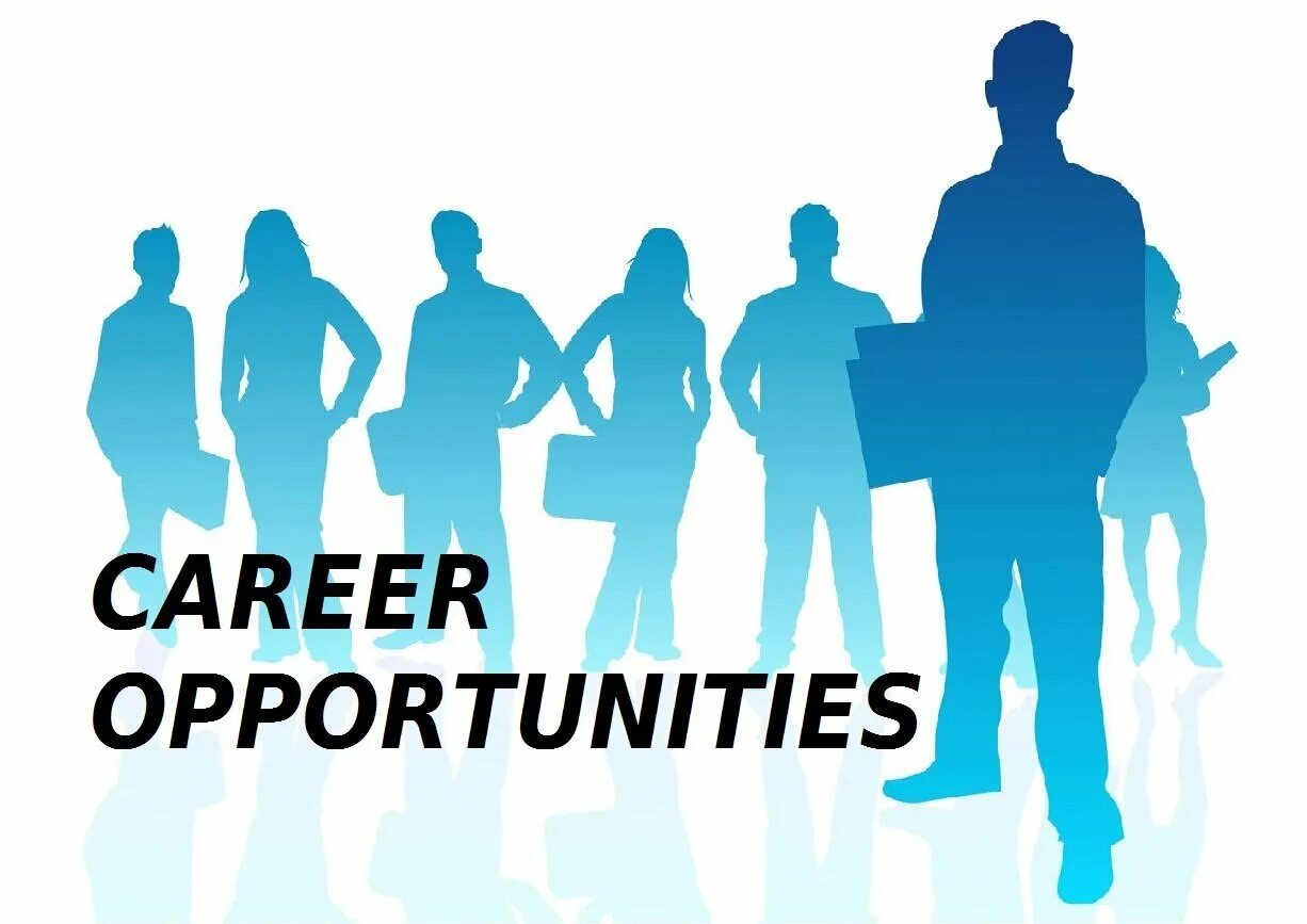 Short-service employees. Job opportunities. Career opportunities. Srh university career opportunities. Some countries offer good career opportunities.
