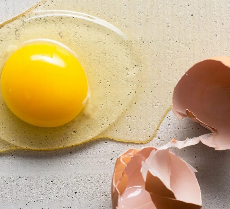 The strongest egg yolk. Желток. Розовый желток. Белый желток. Шелк желток.
