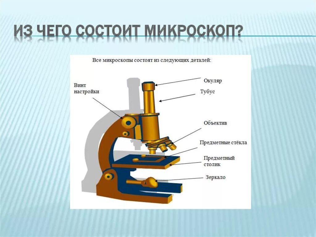 Микроскоп и его части 5 класс биология. Световой микроскоп 5 класс биология. Части микроскопа биология 5 класс. Микроскоп из чего состоит микроскоп. Из чего состоит микроскоп 5 класс биология.