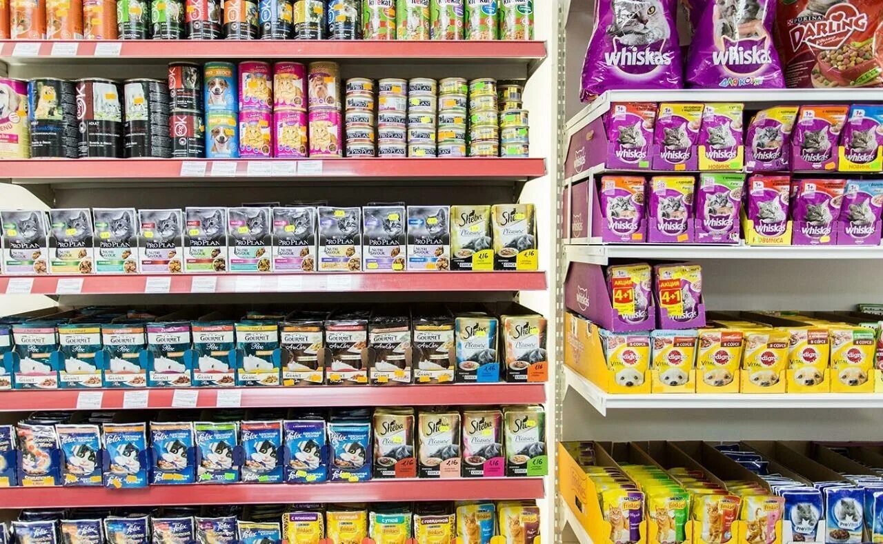 кошка в магазине. корма для кошек в зоомагазинах. кот в продуктовом магазине. планограмма роял канин витрина. выкладка кормов для животных.