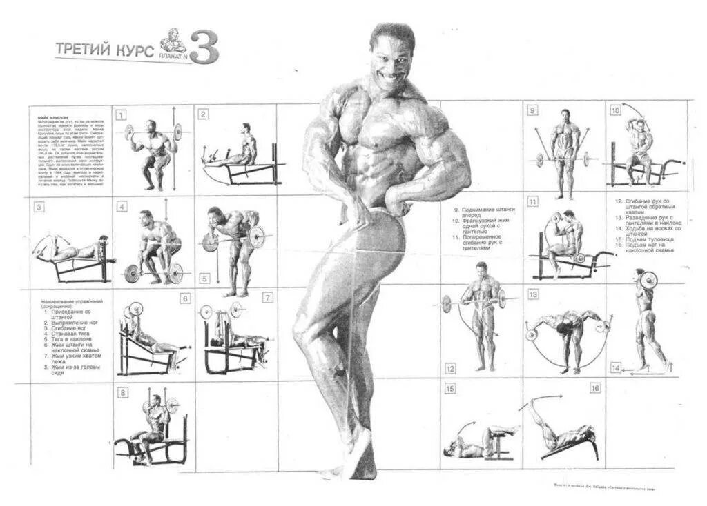 Система тренировок плакат джо вейдер. Система джо вейдера программа. Система джо вейдера программа. Джо вейдер система строительства тела плакаты. Джо вейдер тренировочные принципы.