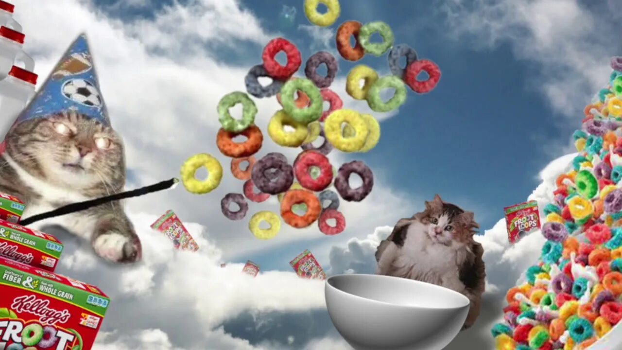 Loops cat. Всратыш кот. brother may i have some loops. loops brother. кот вжух.