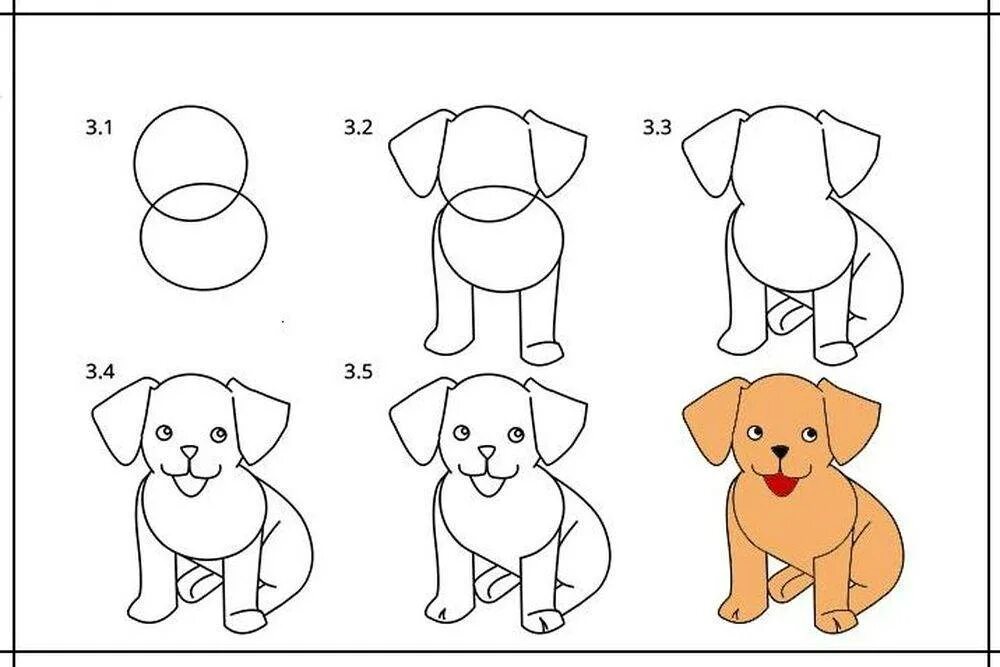 Покажи как поэтапно нарисовать. Схема рисования собаки. Поэтапное рисование собаки для детей. Схема рисования собаки для дошкольников. Рисование щенка поэтапно для детей.