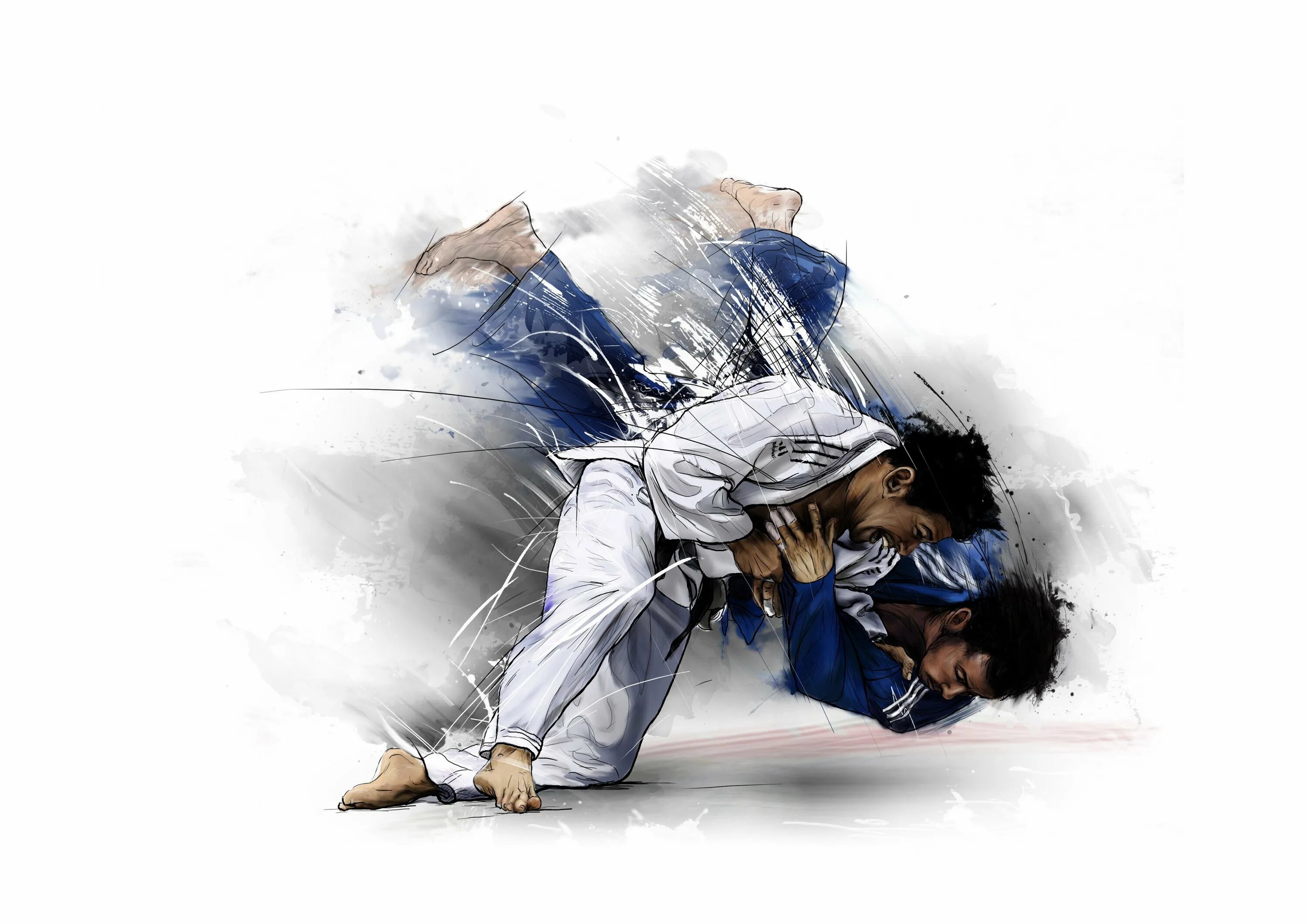Борцы дзюдо вектор. Джиу-джитсу боевые искусства Японии. Дзюдо картинки. Дзюдо арт. Грабитель джитсу