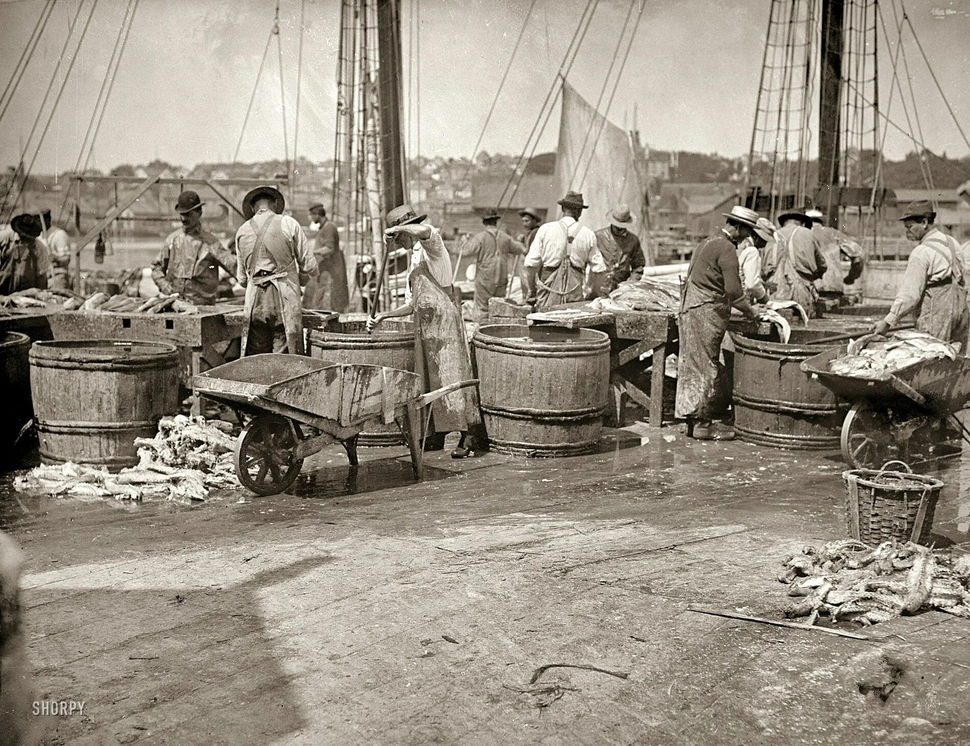 Портовые грузчики 19 века. Рыбак Америка 20 век. Докеры в порту 19 век.