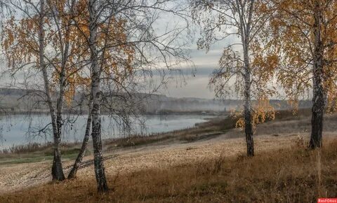 Ранняя погожая