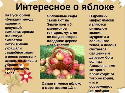 Яблоко это растение или нет