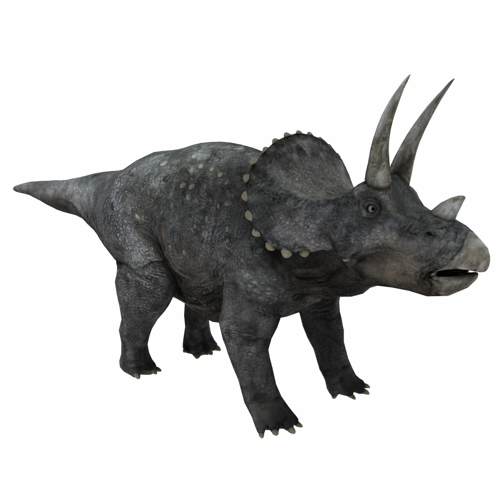 Про трицератопса. Трицератопс 3д. Трицератопс мод 2. Динозавры Трицератопс 3д. Динозавр 3d модель Трицератопс.