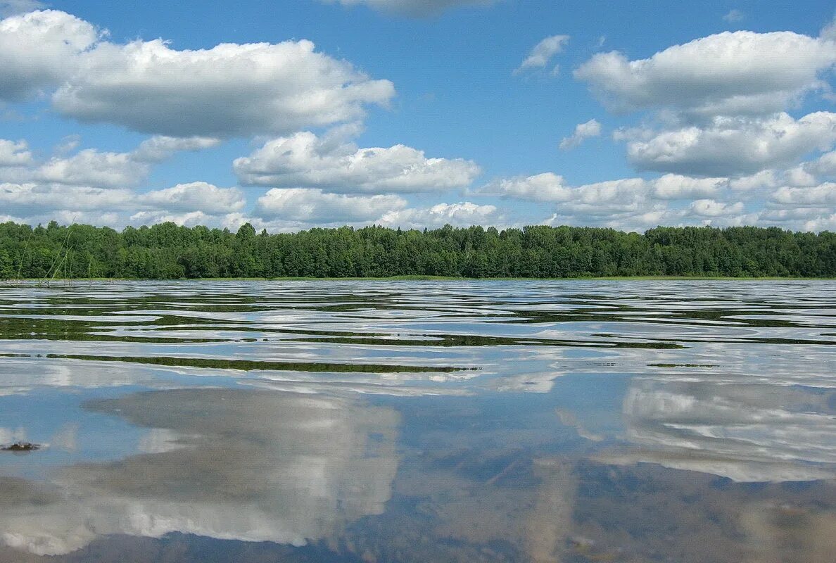 Озеро среднее озерное