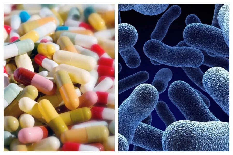 Бактерии и антибиотики. Антибиотики и микроорганизмы. Антибиотики из микроорганизмов. Антибиотики против бактерий.