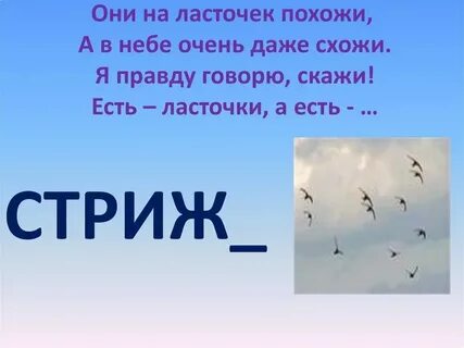 Стрижи улетели распространить сказуемое
