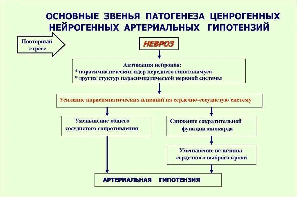 Механизм развития гипотензии. Патологические механизмы развития артериальной гипертензии. Нейрогенные механизмы развития артериальной гипертензии. Механизм развития артериальной гипотензии. Развитие гипотонии