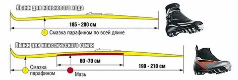 Ширина лыж