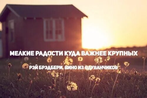 Одуванчик цитаты. Цитаты про лето из книг. мелкие радости куда важнее.