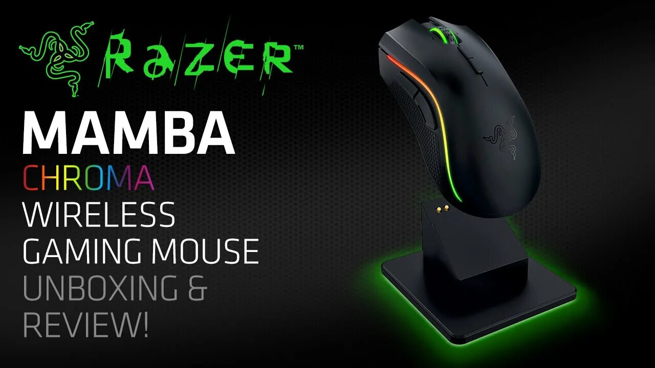 Mamba elite. Elite dangerous мамба. Мамба логотип. Игра scorpion disfigured. Конфета мамба на белом фоне.