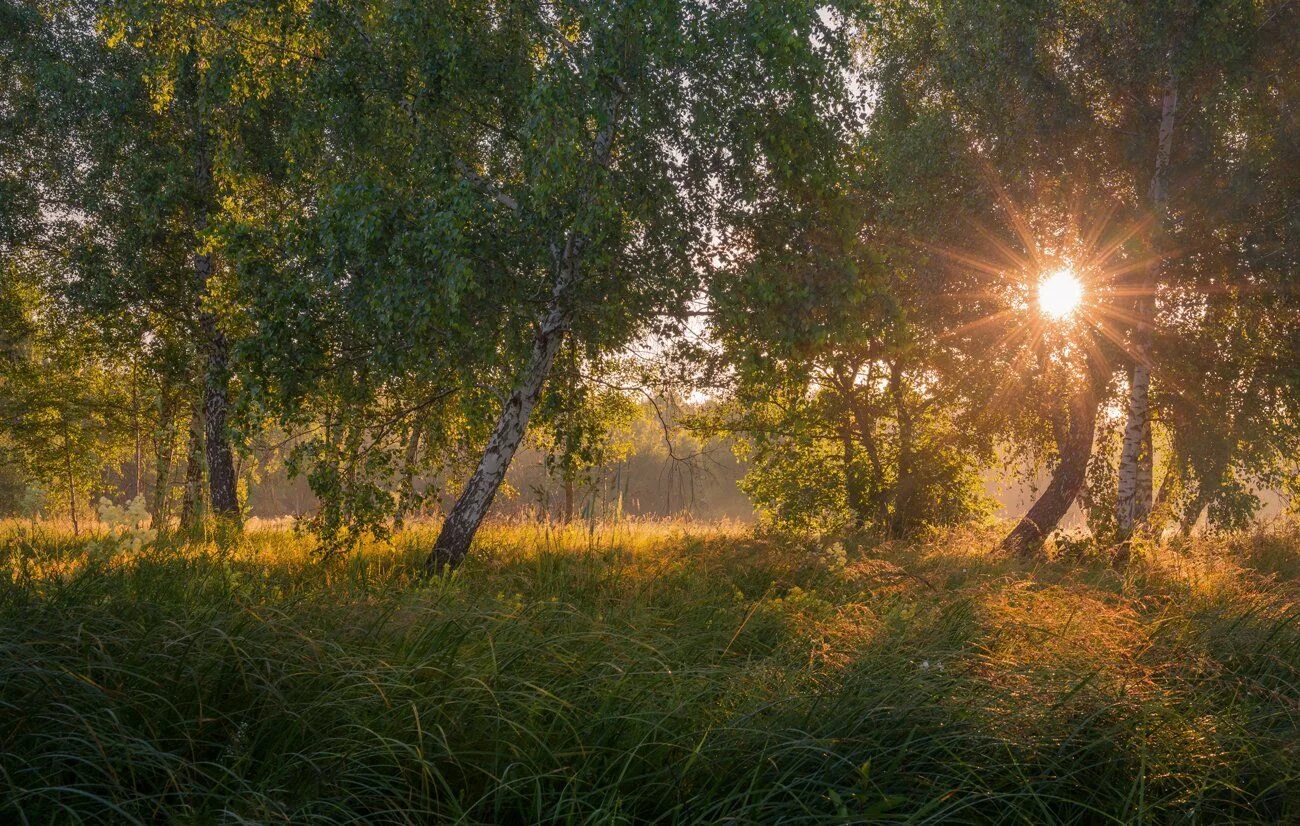 Солнечное утро. Летнее утро. Солнечного летнего утра. Утро солнце август.