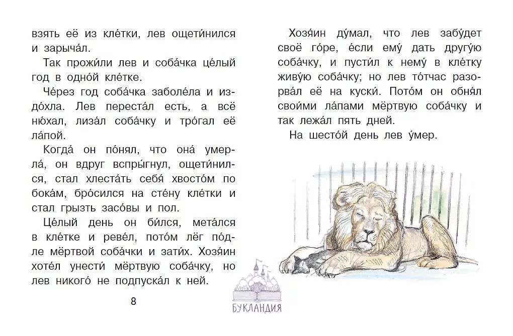 Читаем рассказы про любовь. Небольшие рассказы для внеклассного чтения. Рассказы для 1 класса. Рассказы для первоклассников для чтения. Небольшие рассказы для чтения 1 класс.