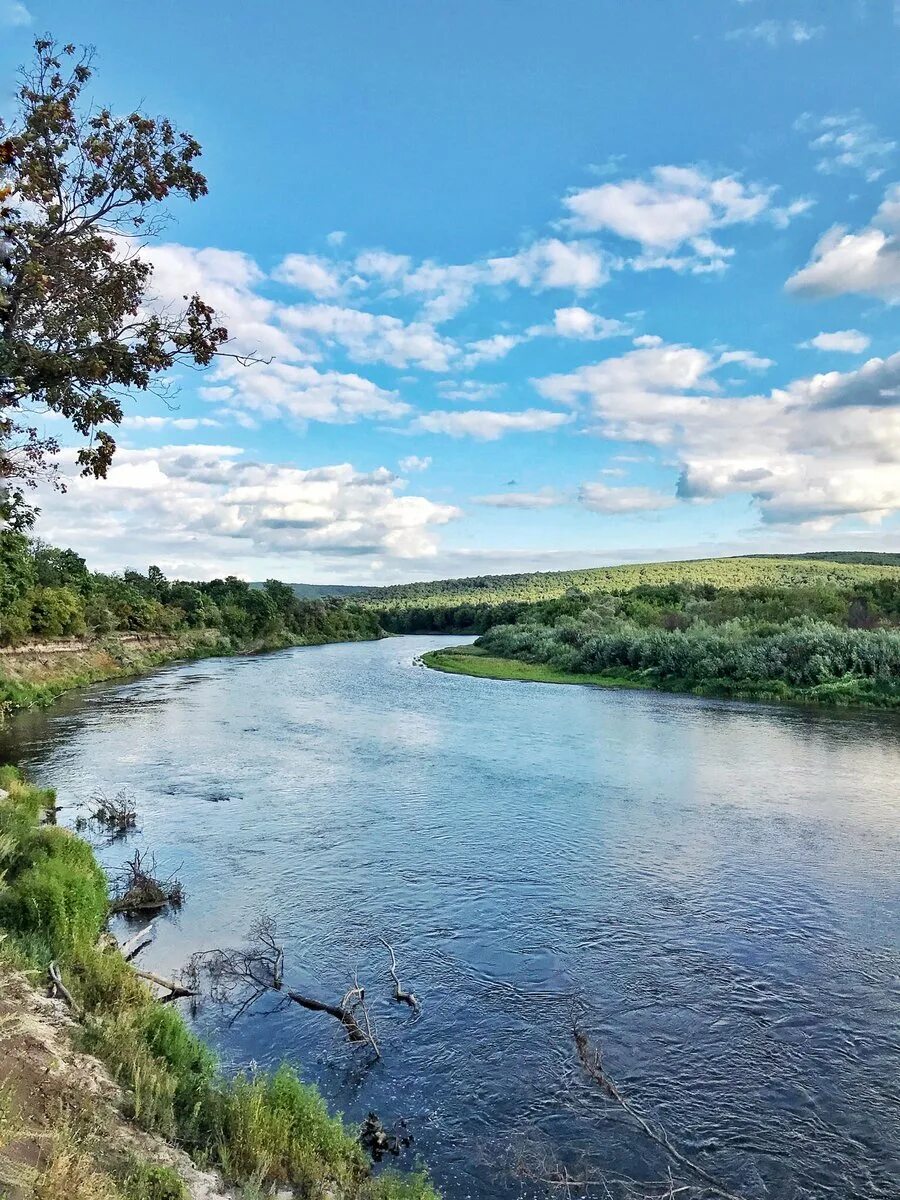 Откуда берет начало река сура. Река Сура в Мордовии. Река Сура Пенза. Река Сура в Чувашии. Река Пенза , приток Сура.