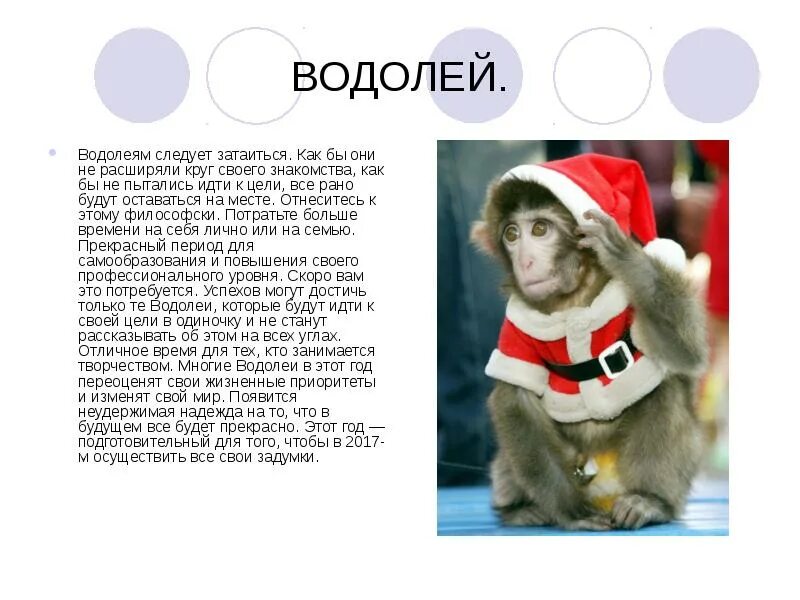 Характеристика знака зодиака обезьяна. Характеристика знака зодиака обезьяна. Характеристика знака зодиака обезьяна. Характеристика знака зодиака обезьяна. Весы обезьяна мужчина характеристика.