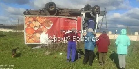 Курская область новости строкой