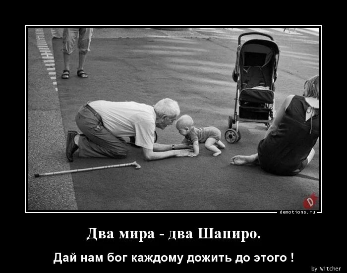 Два мира два шапиро мем. Поговорка два мира два шапиро. Поговорка два мира два шапиро. Большая семерка карикатура. Два мира два шапиро.