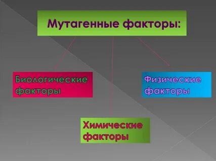 Физические химические биологические факторы